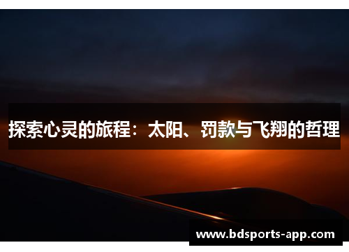 探索心灵的旅程：太阳、罚款与飞翔的哲理